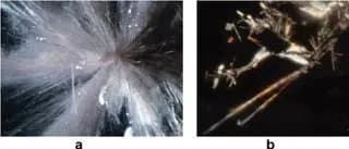 TIL the Ritonavir crisis of 1998, an event where the life-saving HIV medication (Form I) became insoluble in water, happened when a more stable, insoluble form of the drug (Form II) was discovered. As
