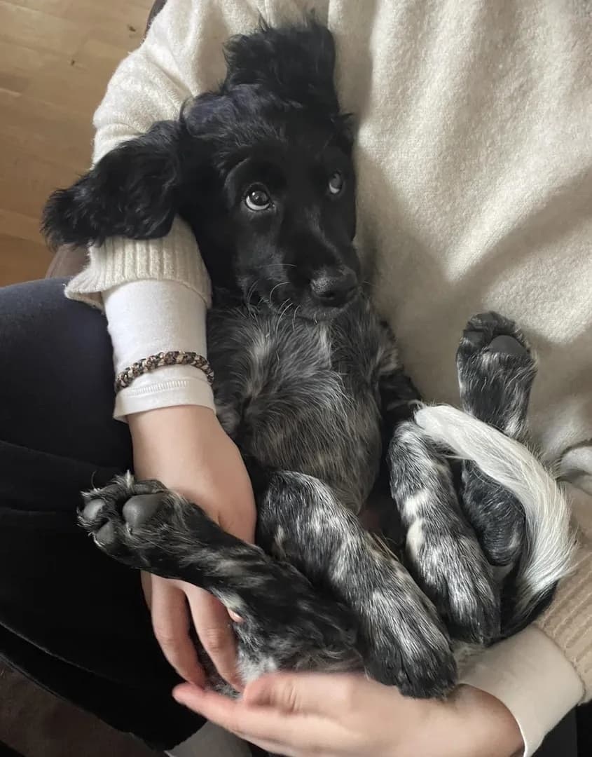Miss her being a Baby