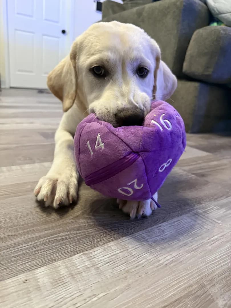 Dakota says “Roll for initiative”