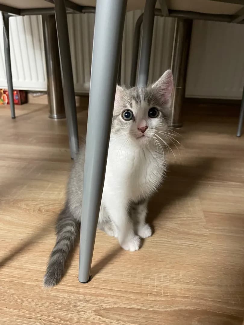 My little weirdo 🤍