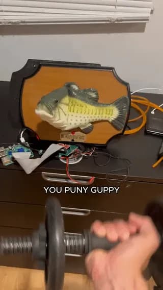 a man put Artificial intelligence into a Big Mouth Billy Bass and now the fish gives him motivational speeches to get him to work out