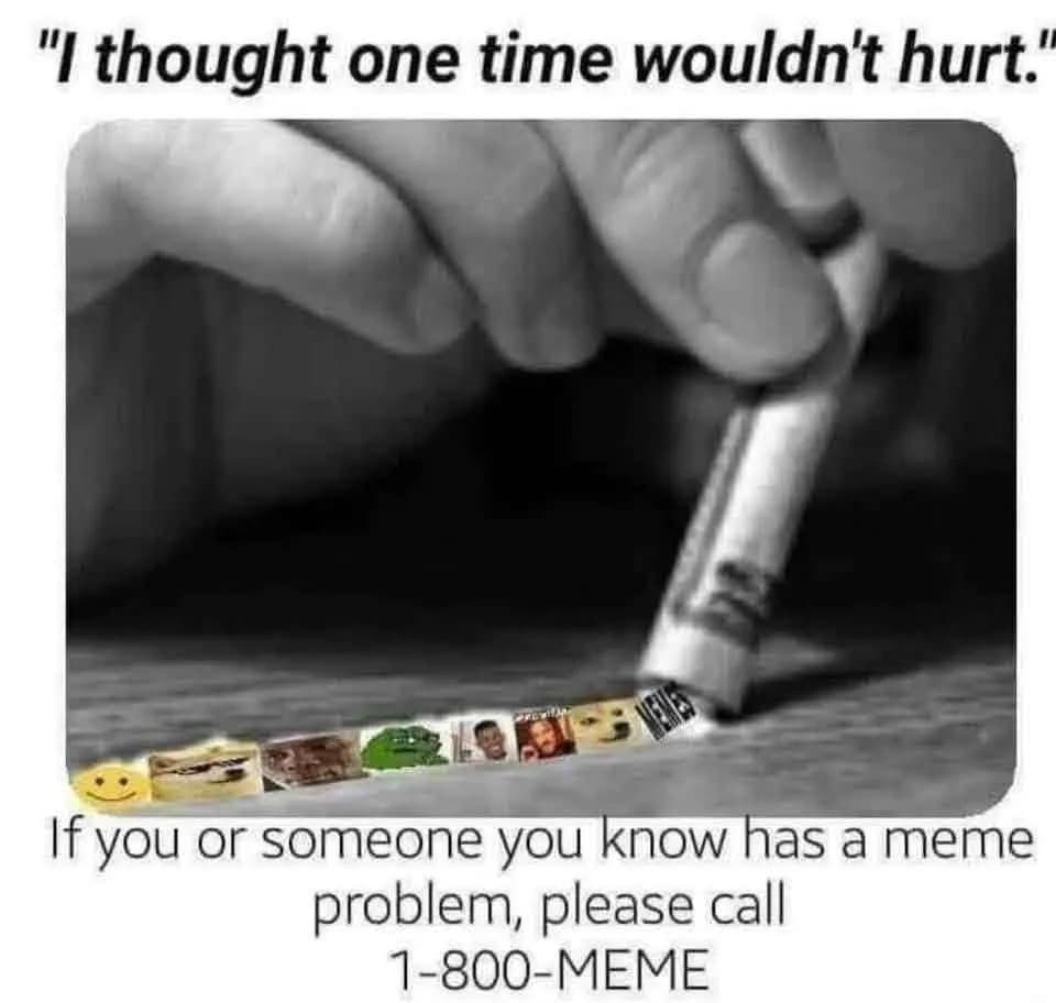 I love the MEME Life