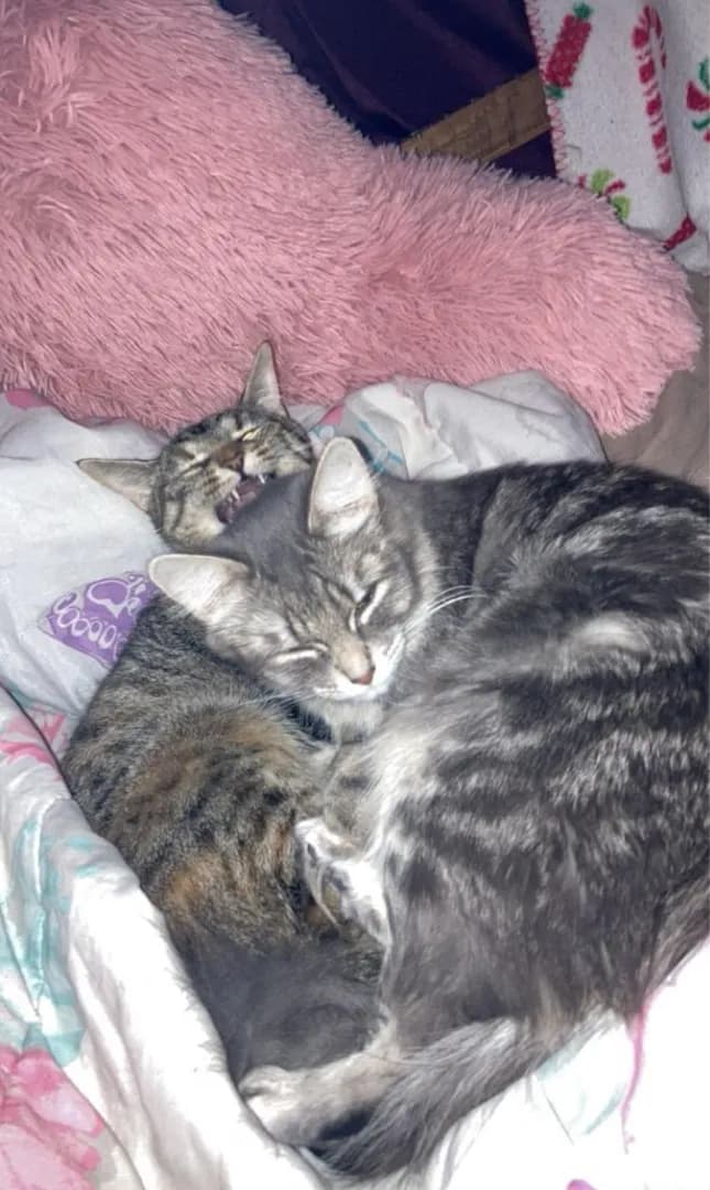 My babies being cuties