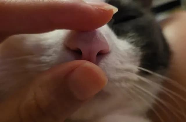 🤏