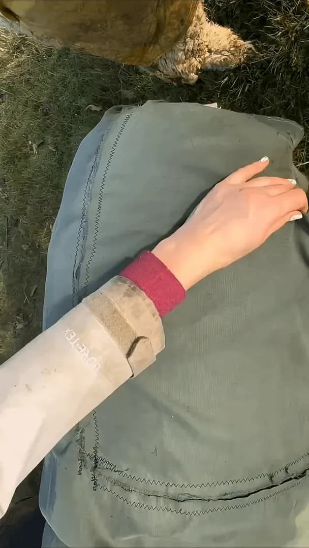 Under the crusty layer that people see, sheep wool is actually soft, fluffy, and clean