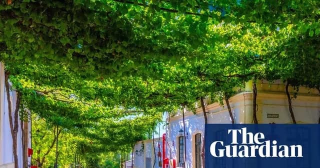 TIL cities are actively using vertical vine coverage and green canopies on buildings as a low-tech solution to drop surface temperatures by up to several degrees.