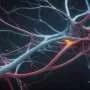 Genes that help flatworms regenerate their brains revealed