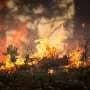 Children born today in Europe will live through almost twice as much extreme fire weather as their grandparents