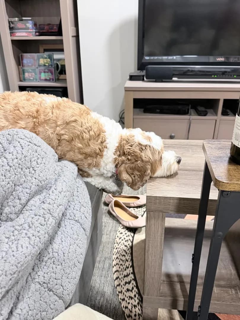 Headrest