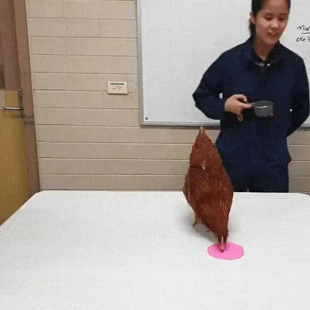 An interesting example of reinforcement learning