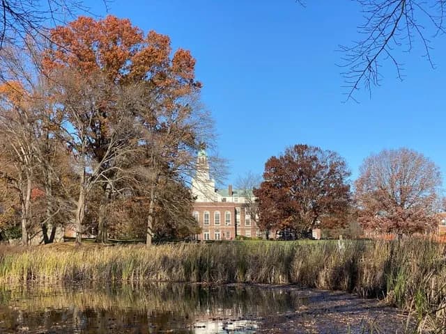 OpenAI forms math advisory group as its AI resolves more than 100 open problems