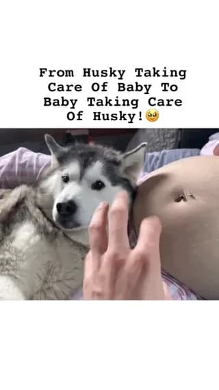 They took care of each other!