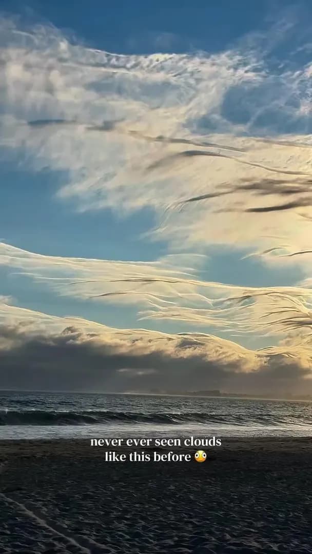 Looks like a painting 😳