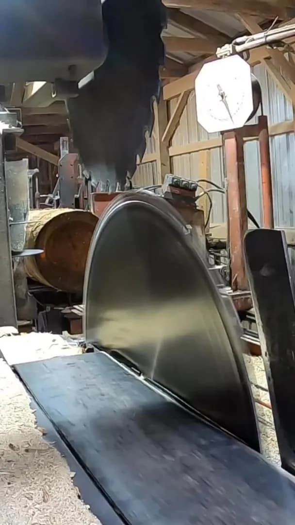 Sawmill doing sawmill things (OC credit to: sawyerpool95)
