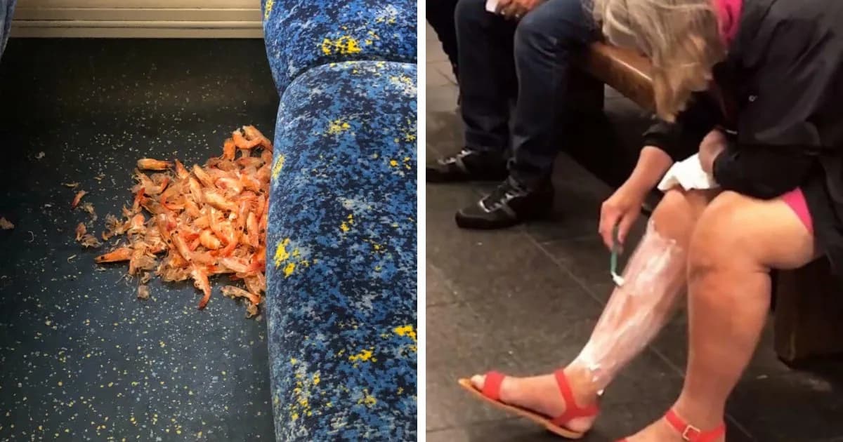 74 Examples Of Completely Wild Public Transport Interactions That Might Make You Buy A Car