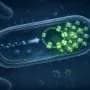 Circular mRNA helps cell factories make up to six times as much protein