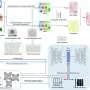 AI tool compares 125 cell types across 700 million years of evolution