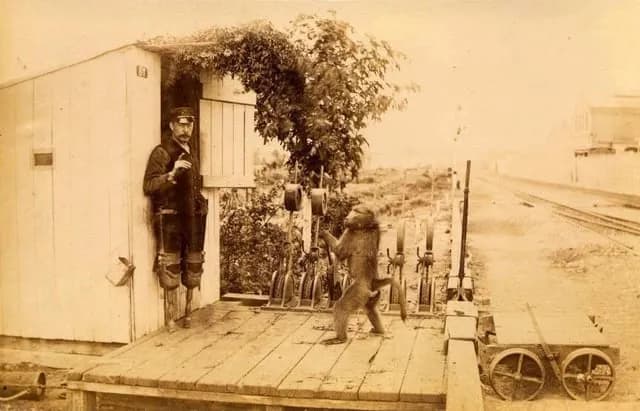 TIL A baboon named Jack operated railroads assisting a disabled operator and during his nine years of work, never made a mistake