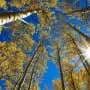Day and night get equal billing on Tuesday. A guide to the fall equinox