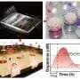 Gold nanoplasmonic chip tracks L-DOPA response in Parkinson's 'mini-brains'