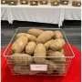 Duncan Russet offers heat tolerance and virus resistance for southern potato growers