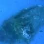 Follow the fish: How marine life is helping reveal hidden shipwrecks