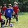 Children's sport is great at keeping them busy—but are they learning?