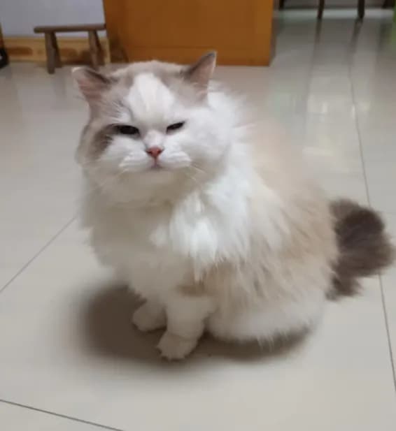 His grumpy morning face made me laugh so hard