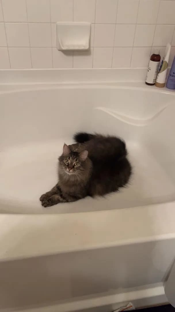 Porkchop is ready for his bath