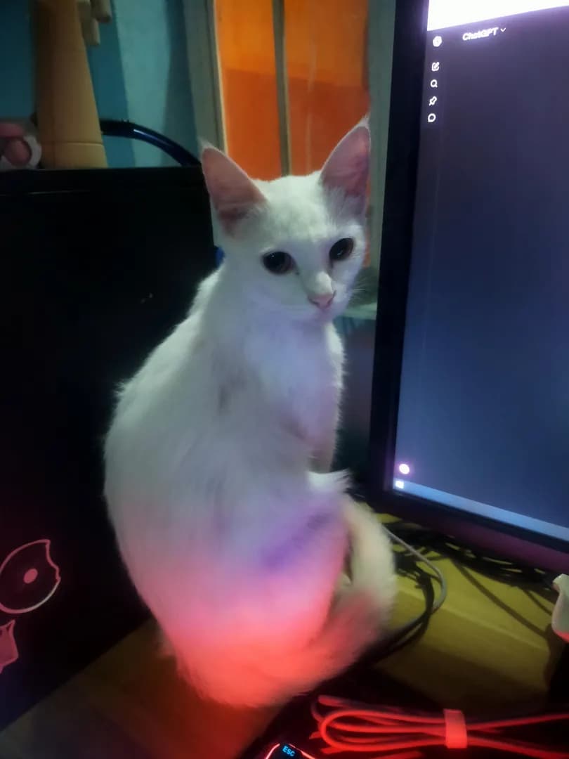 Idk why she insists on staying there but okay