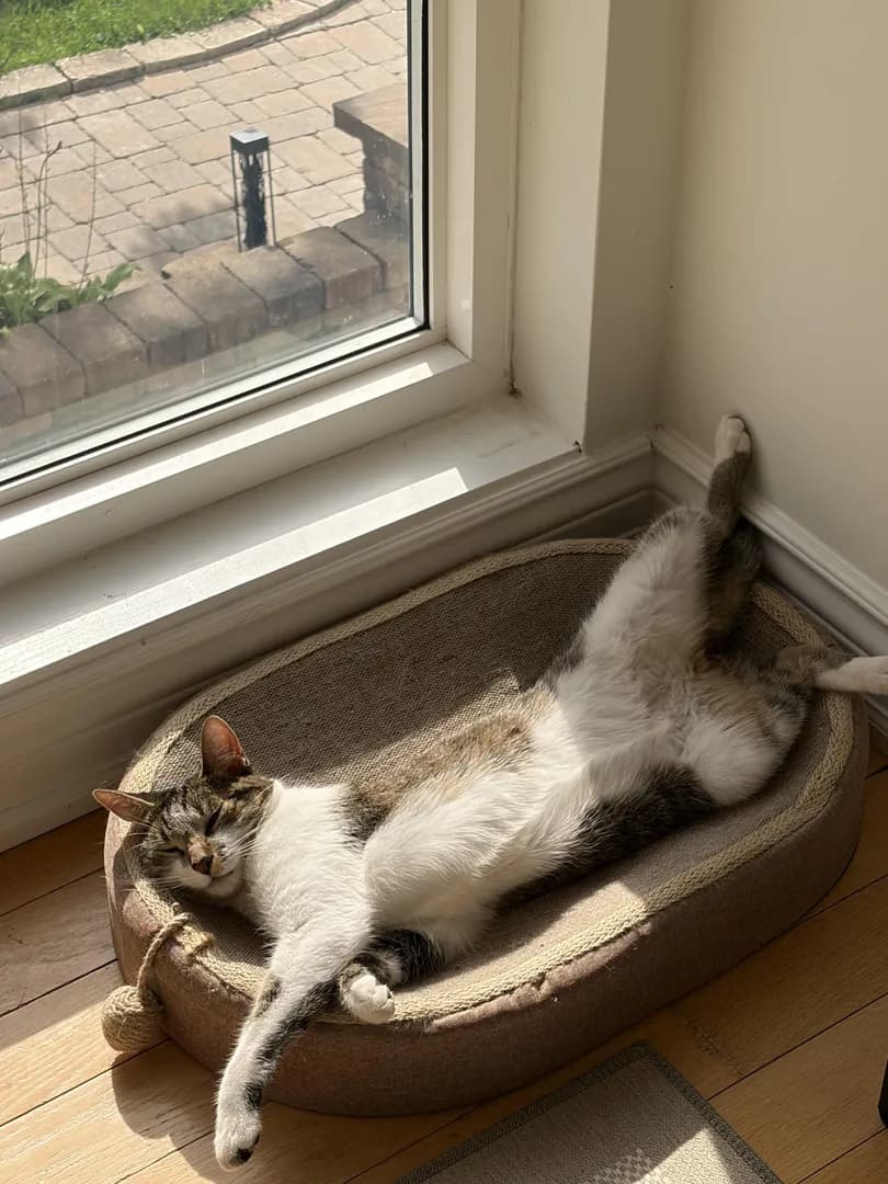 When you’ve worked a 9–5 in your dreams