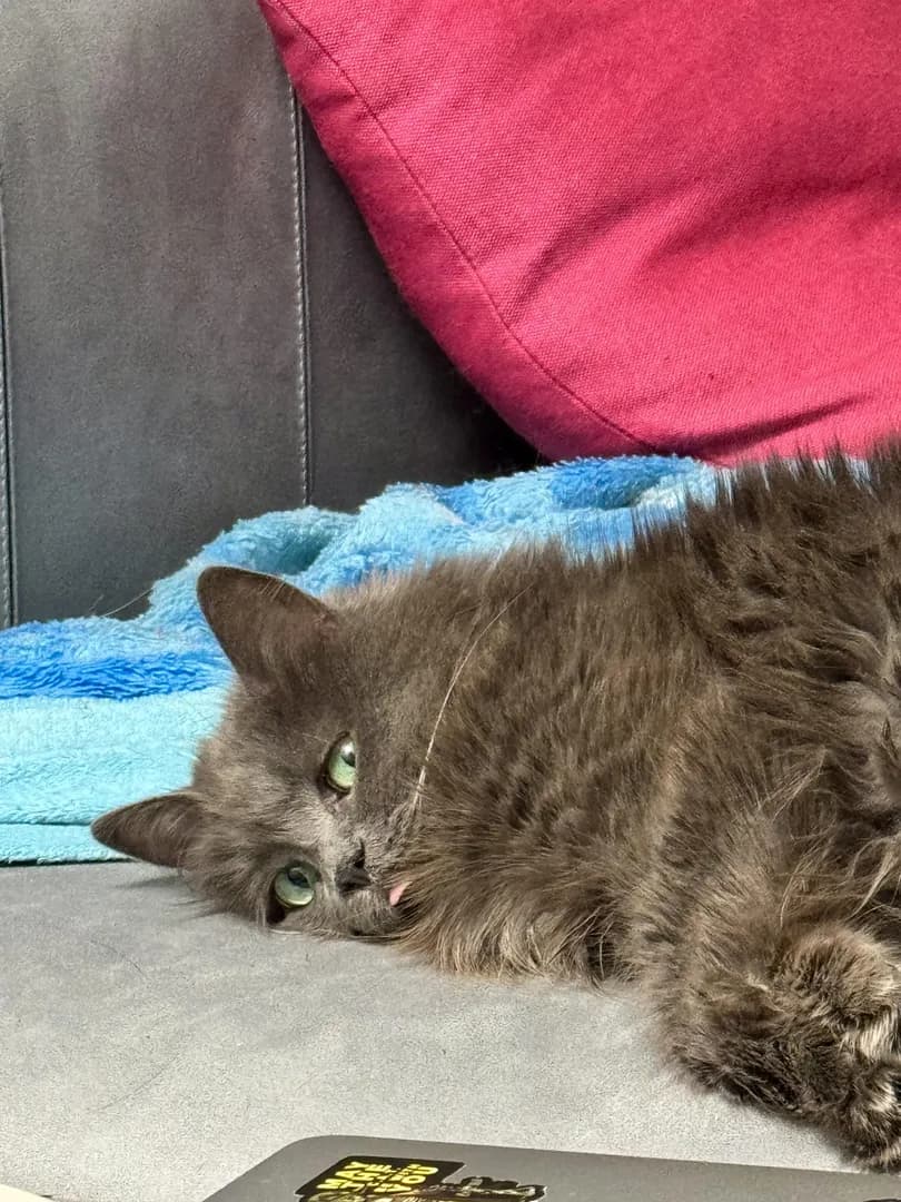 She’s looking at me