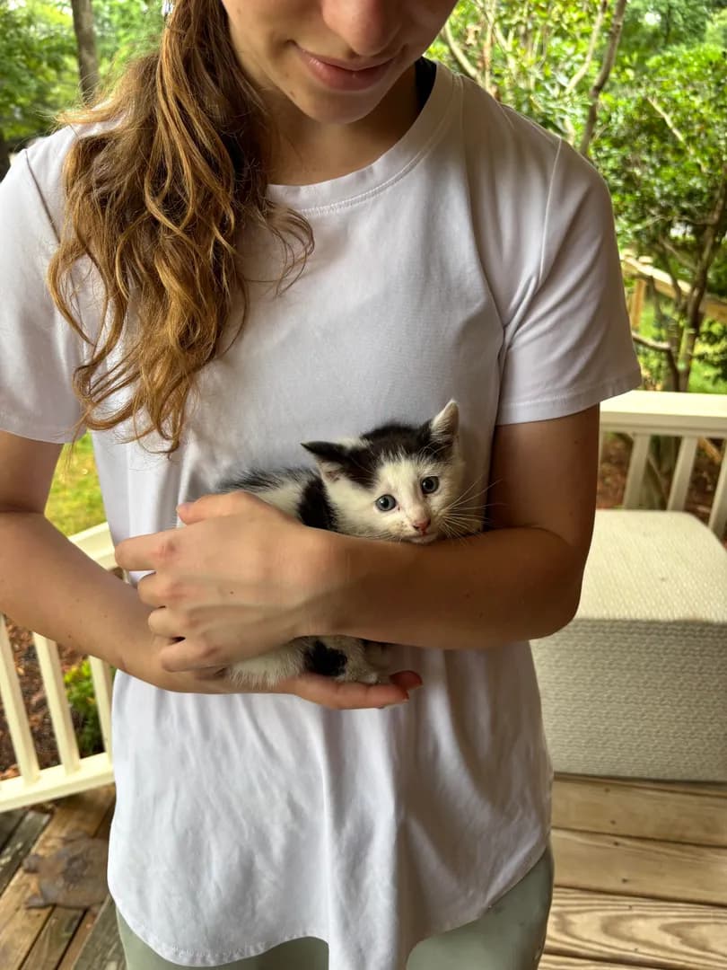 My kitty moo that I found in the middle of a busy road