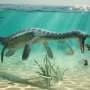 Queasy plesiosaurs swam to shore to vomit, Jurassic fossils reveal