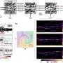 Tiny quantum nanostructures could make AI less of an energy hog