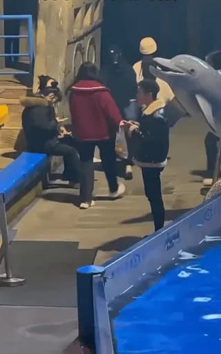 A man ignored warnings and smoked at an ocean park, only to have his cigarette extinguished by a beluga whale