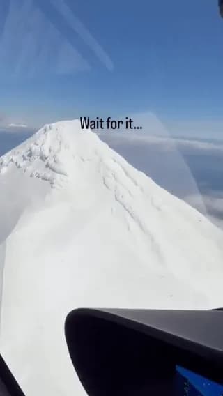 Massive brown bear spotted on top of an Alaskan high-altitude mountain