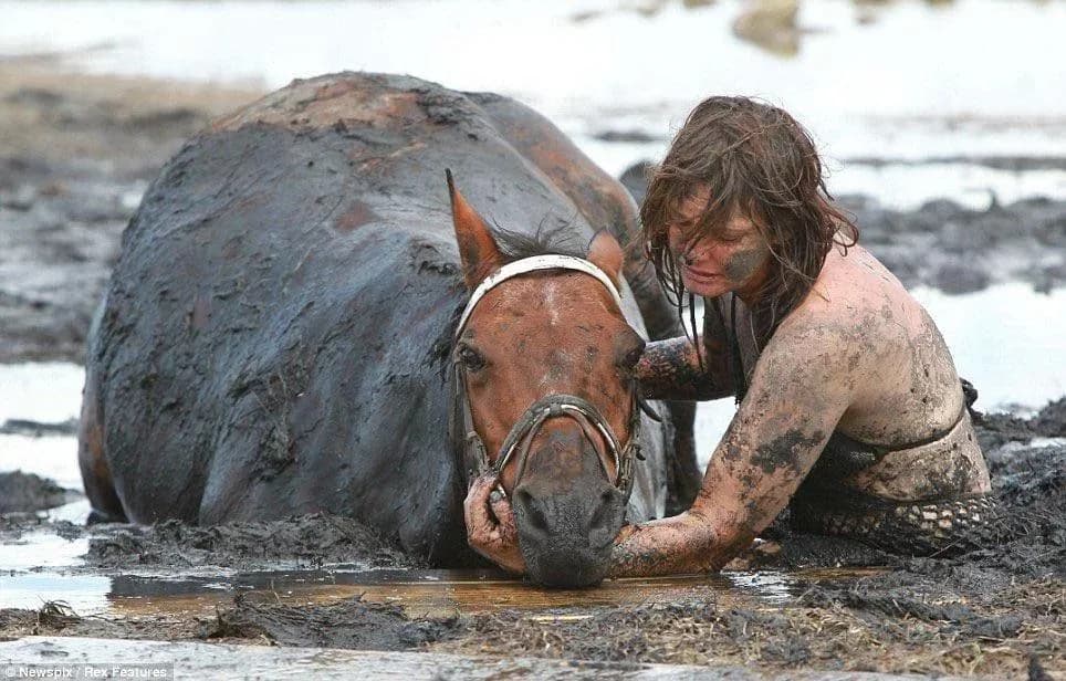 A young woman stayed with her horse for three hours, holding his head above water to keep him from drowning after they got trapped in mud.