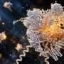 Snapshots reveal key molecular machine in tropical parasites at near-atomic resolution