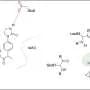 AI scans 4.6 million compounds in hours to predict hydrogen positions in drug-like molecules