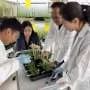 Reading the leaves: Decoding the secret cellular language of plants