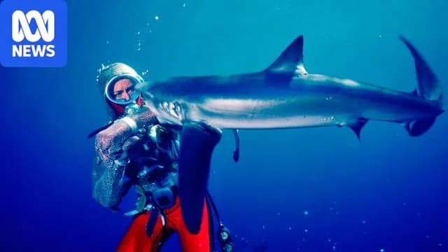 TIL that a real great white shark accidentally changed Jaws: the shark broke loose an empty cage, so Spielberg rewrote Hooper's fate.