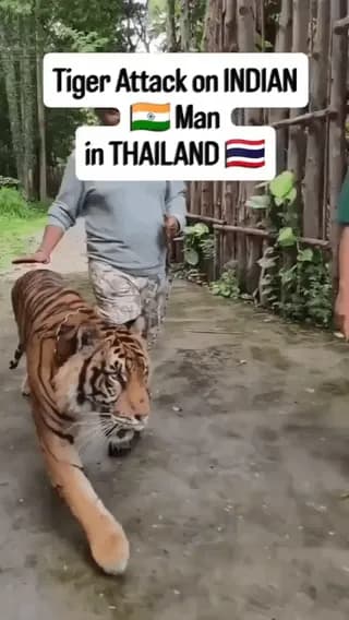 would could go wrong kneeling beside a wild animal