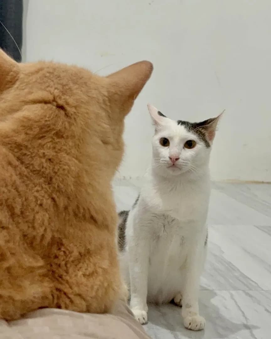 He’s standing there... menacingly!