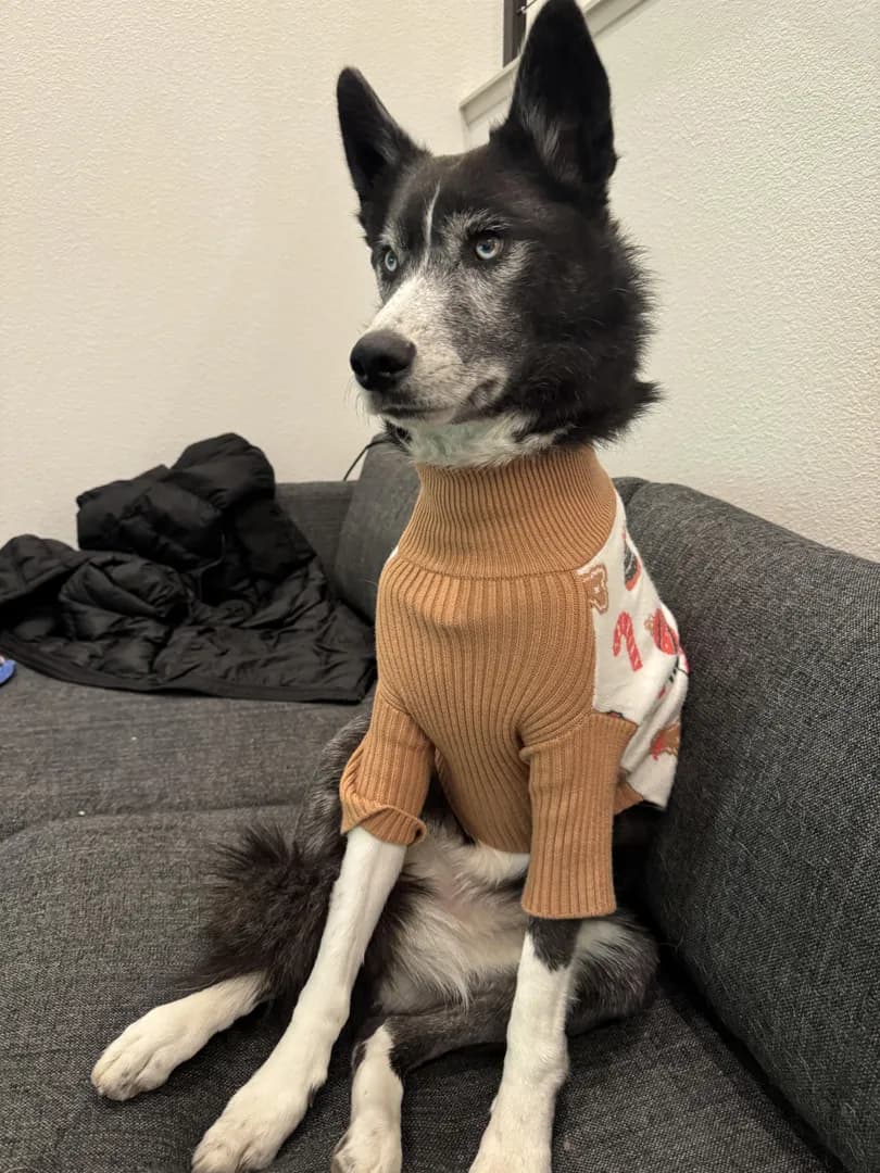 Shenanigans in her turtleneck sweater!