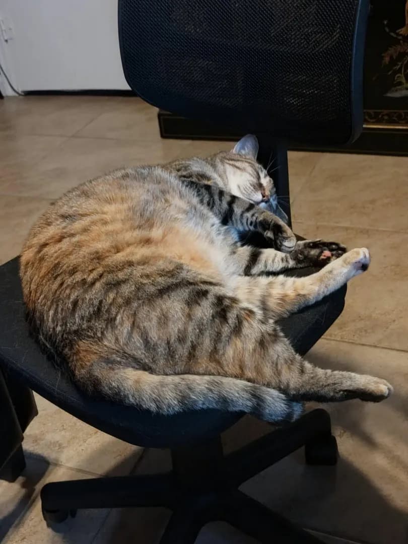 She's cozy