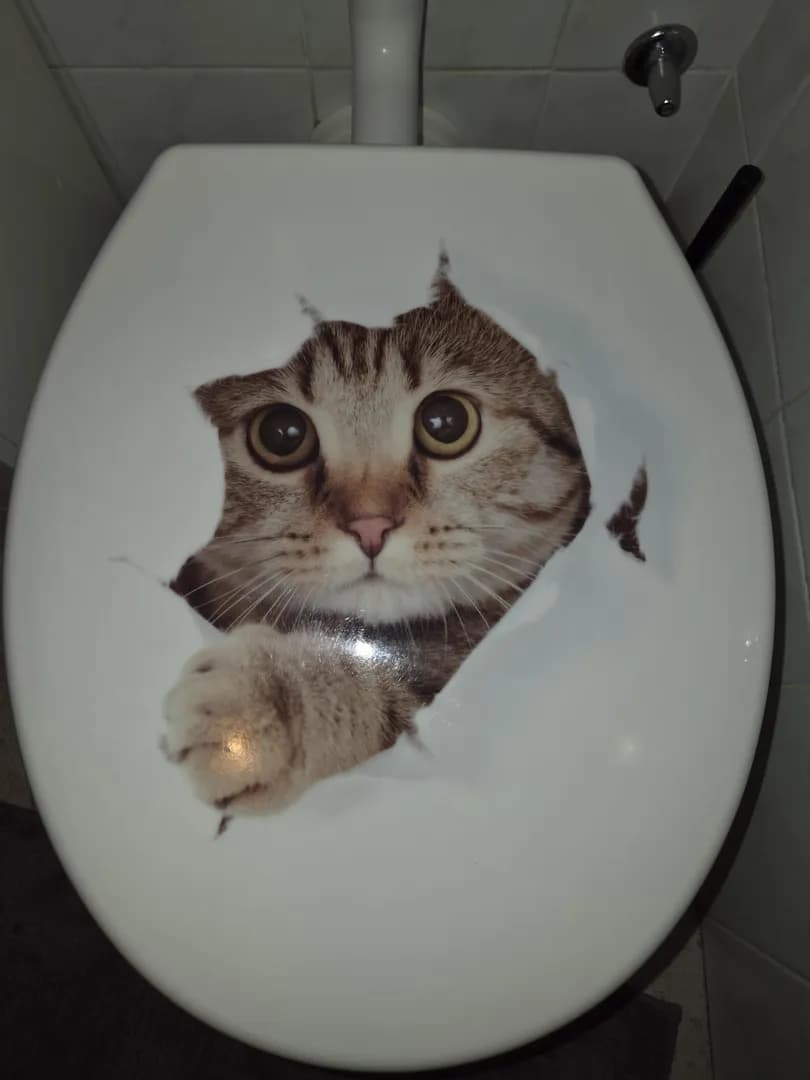 Check out this toilet seat my mom bought