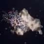 Can this biotech innovation halt the destructive march of a cereal killer?