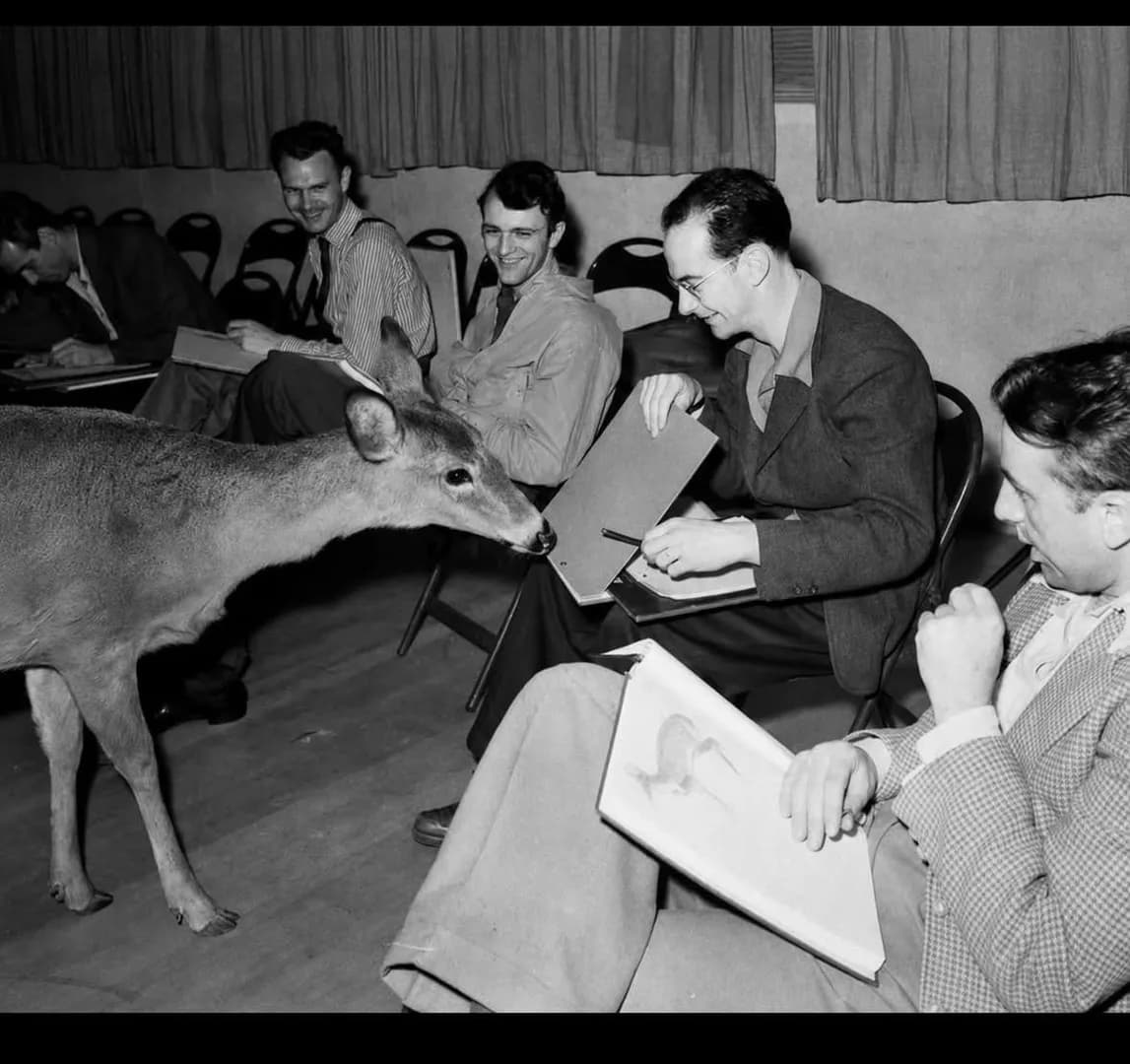 Disney artists studying a deer for the animation of "Bambi" 1942