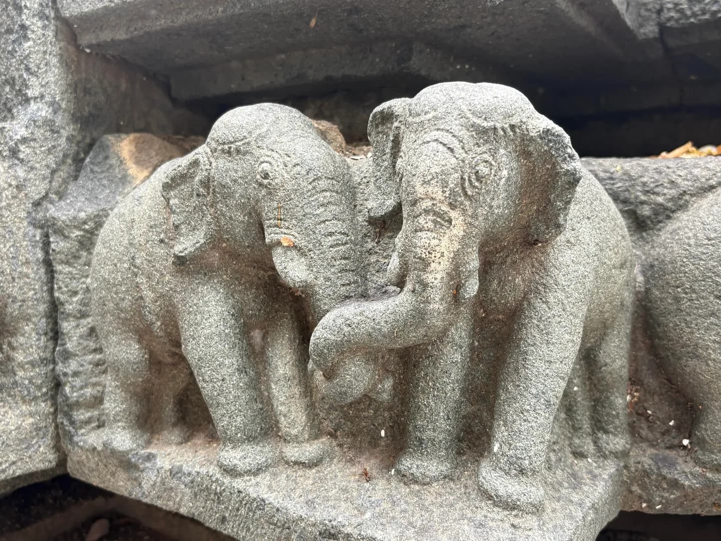 800 year old elephant sculptures in a temple in India [OC]